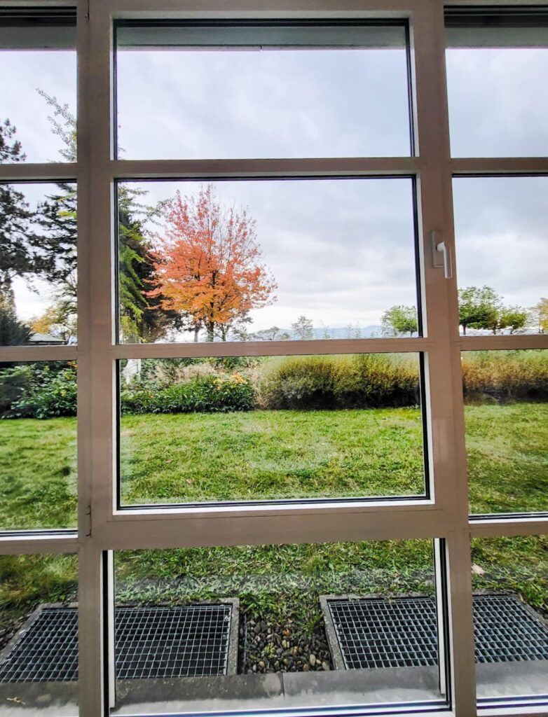 IMG-20250111-WA0071_editedp